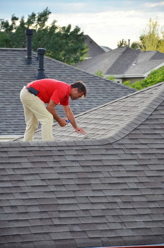 Professional Roof Inspectors